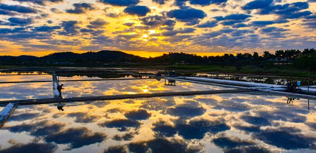 소래습지 생태공원 염전. 인천시 제공