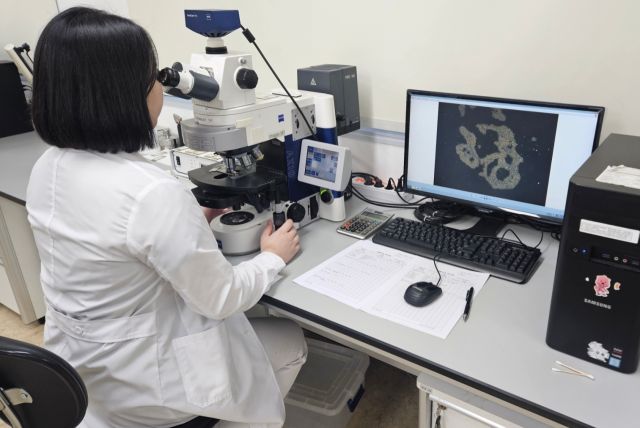 환경부 소속 연구원이 채수한 녹조를 분석하고 있는 모습. 환경부 제공