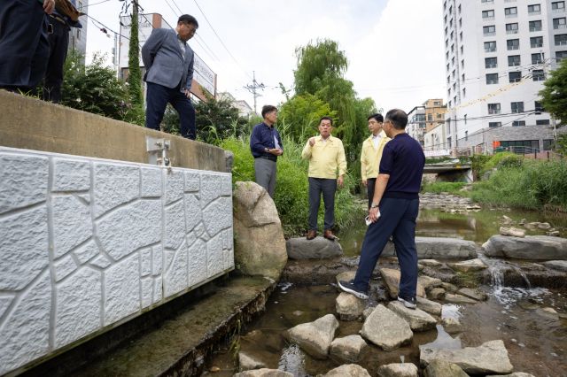 이재준 수원시장이 20일 어류 집단 폐사가 발생한 현장을 확인하고 있다. 수원시 제공