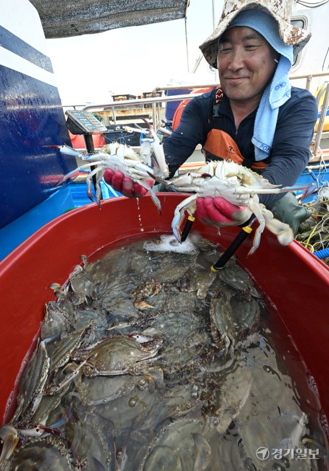 꽃게 금어기가 해제된 21일 오후 인천 중구 영종도 삼목항 강재부잔교에서 열린 꽃게 직거래 장터에서 어민이 갓 잡은 꽃게를 들어보이고 있다.조병석기자