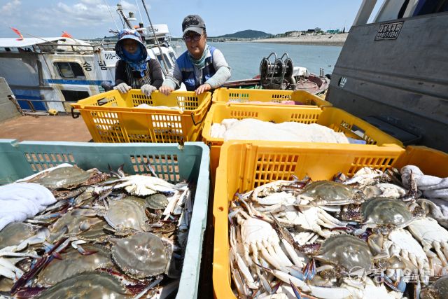 꽃게 금어기가 해제된 21일 오후 인천 중구 영종도 삼목항 강재부잔교에서 입항한 어부들이 갓 잡아 올린 꽃게들을 옮기고 있다. 조병석기자