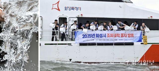 화성특례시, 수산자원 조성사업으로 조피볼락 종자 130만마리 방류 [포토뉴스]