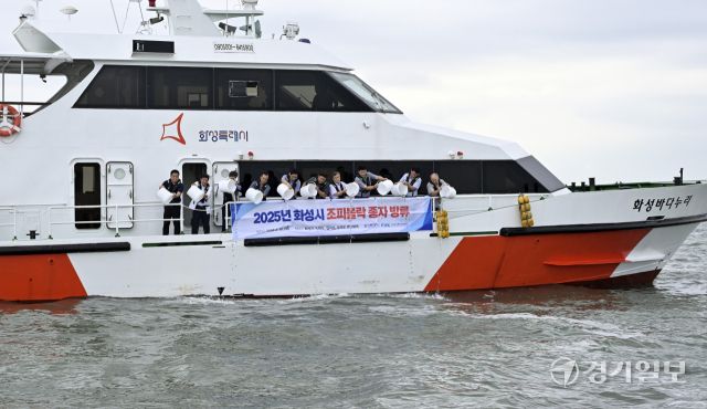 화성특례시, 수산자원 조성사업으로 조피볼락 종자 130만마리 방류 [포토뉴스]