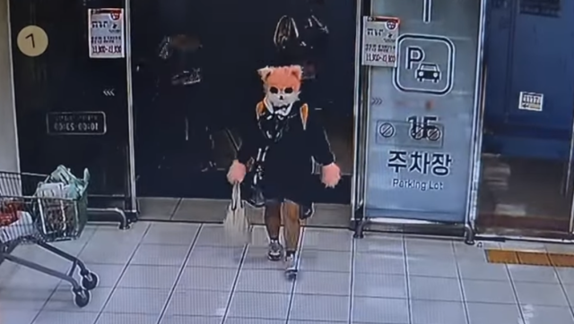 고양이 인형탈을 쓴 A씨가 마트에 들어서는 모습. 유튜브 채널 '대한민국 경찰청' 갈무리