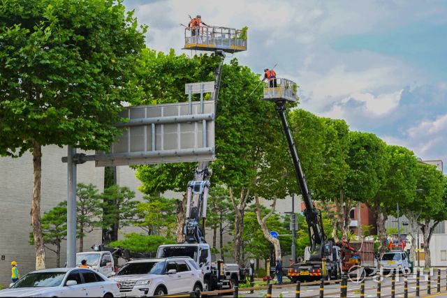 28일 오후 수원특례시 정조로 일대에서 관계자들이 가로수를 정육면체 모양으로 다듬는 테마 전지작업을 하고 있다. 김시범기자