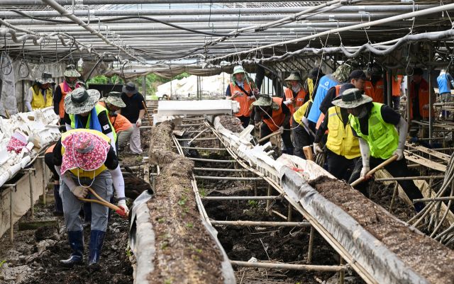 의정부시 가평 폭우 피해 현장 복구활동