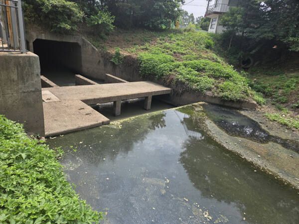 안산시 상록구 본오동 경기지방정원 조성 예정지 인근 구거. 경기일보 DB