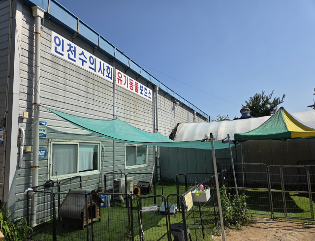 인천 계양구 다남동에 있는 인천시수의사회 유기동물 보호소 전경. 박귀빈기자