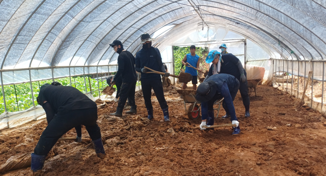 과천도시공사 임직원, 특별재난지역 예산군 찾아 수해복구 구슬땀