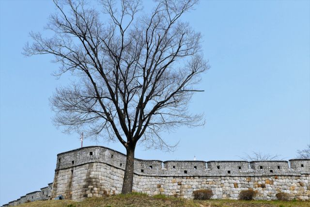 치는 화성 방어 시설물 중 기본 시설물이다. 이강웅 고건축전문가