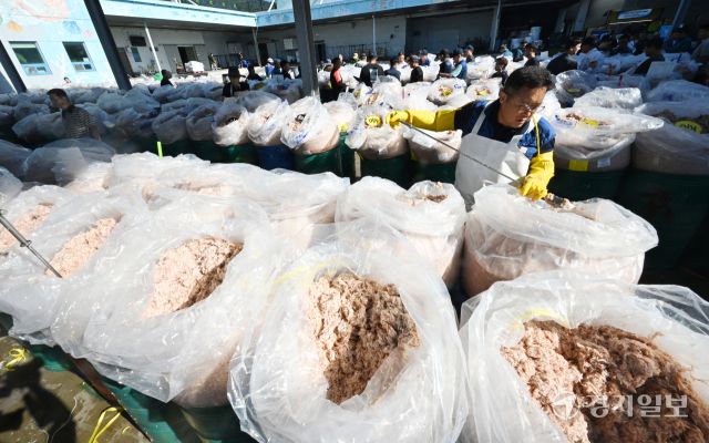 10일 인천 강화군 내가면 외포리 경인북부수협 새우젓 위판장에서 관계자들이 경매를 앞두고 추(秋)젓 품질을 확인하고 있다. 조병석기자