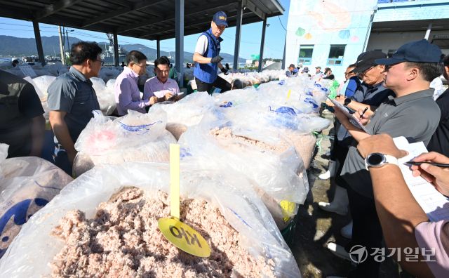 10일 인천 강화군 내가면 외포리 경인북부수협 새우젓 위판장에서 추(秋)젓 경매가 진행되고 있다. 조병석기자