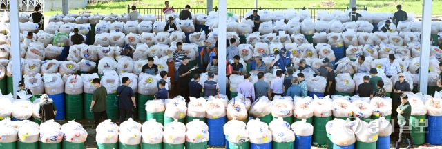 10일 인천 강화군 내가면 외포리 경인북부수협 새우젓 위판장에서 추(秋)젓 경매가 진행되고 있다. 조병석기자