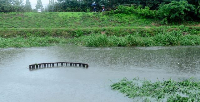 자료사진. 경기일보DB