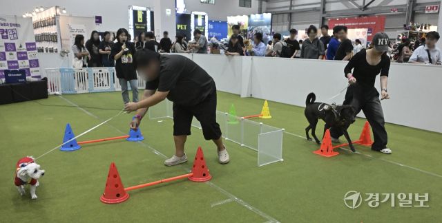 애견인들의 필참 행사 '2025 케이펫페어 수원' [포토뉴스]