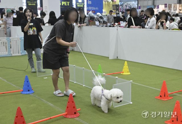애견인들의 필참 행사 '2025 케이펫페어 수원' [포토뉴스]