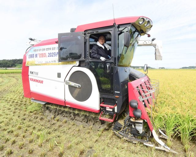 박용철 강화군수가 ‘강들미’ 수확 행사에서 직접 농기계를 운행하고 있다. 강화군 제공
