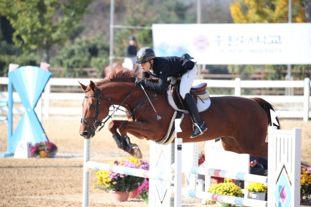 지난 14일 경북 구미시승마장에서 열린 2025 추계전국승마대회서 이기주가 켄터키퀄리키Z를 타고 장애물을 넘고 있다. 경기도승마협회