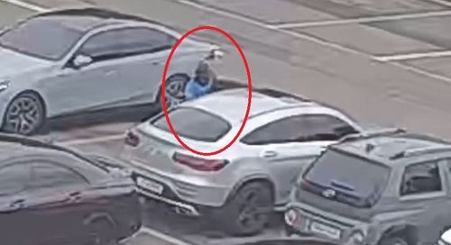 과천 서울대공원 차량털이 현장 CCTV. 과천경찰서 제공