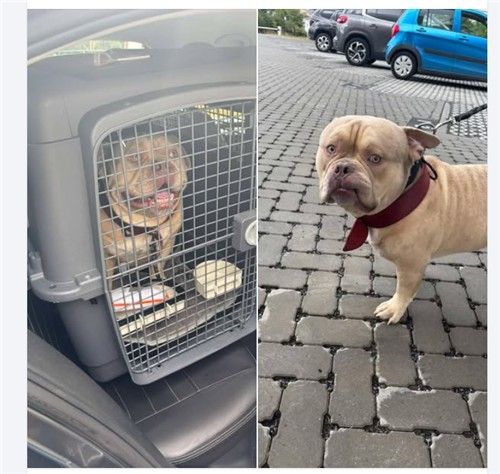 AKR20250918163500098_01_i_P4