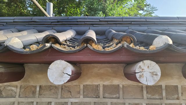 지난 15일 새벽 훼손됐을 당시 종묘 외곽 담장 모습. 국가유산청 제공