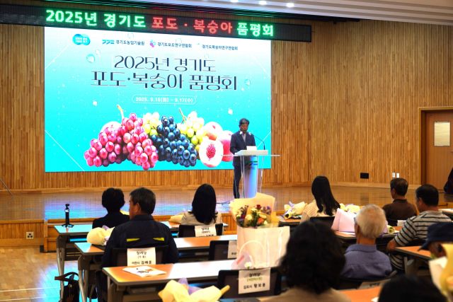 가평군, 경기도 포도품평회서 최우수·우수상 동반 수상