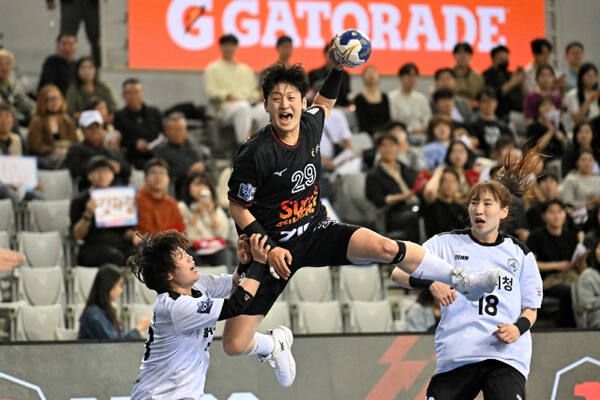 지난 시즌 여자부 우승팀인 광명 SK슈가글라이더즈의 경기 장면. 한국핸드볼연맹 제공