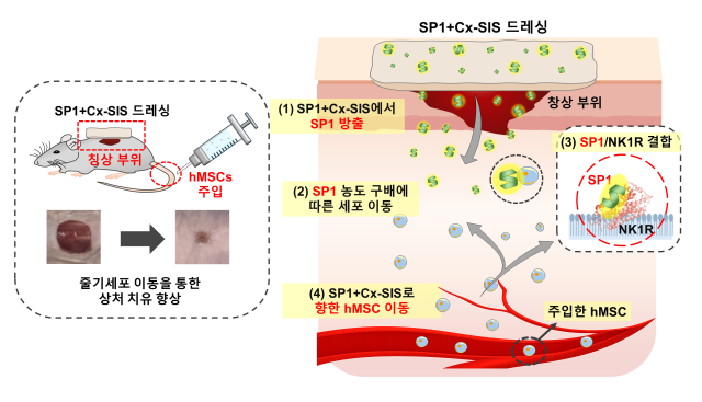 연구 개요 이미지. 아주대 제공