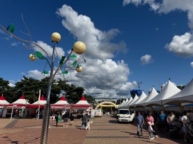 제29회 햇사레 장호원복숭아축제장의 모습. 이천시 제공.