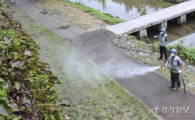 가을 모기 방역 시작 [포토뉴스]