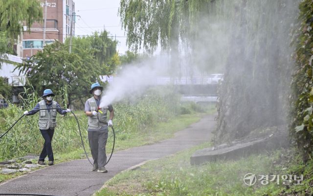가을 모기 방역 시작 [포토뉴스]