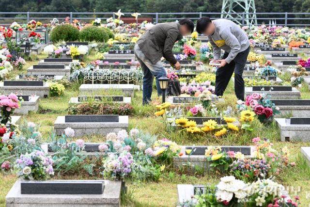 추석 연휴를 닷새 앞둔 28일 오후 용인평온의숲 자연장지에서 성묘객들이 조상의 묘를 찾아 성묘를 하거나 묘를 돌보고 있다. 김시범기자