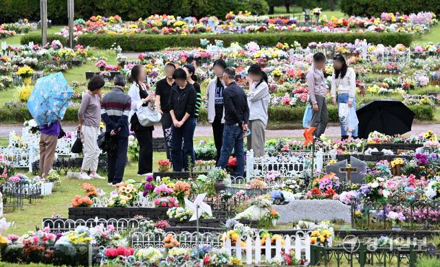 추석 연휴를 닷새 앞둔 28일 오후 용인평온의숲 자연장지에서 성묘객들이 조상의 묘를 찾아 성묘를 하거나 묘를 돌보고 있다. 김시범기자