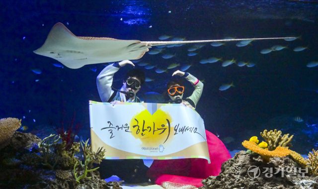 추석맞이 아쿠아리스트의 인사 [포토뉴스]