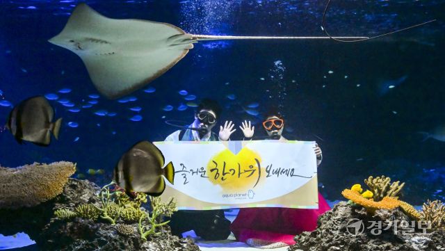 추석맞이 아쿠아리스트의 인사 [포토뉴스]