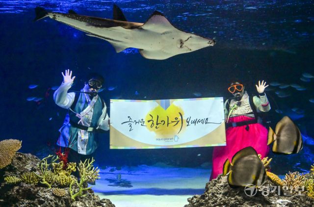 추석맞이 아쿠아리스트의 인사 [포토뉴스]