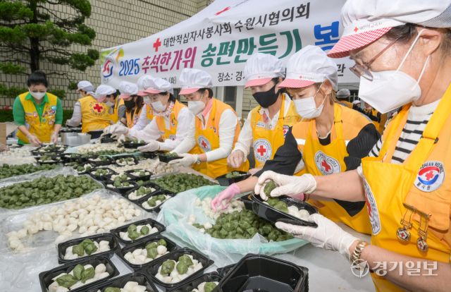 30일 오전 대한적십자사 경기도지사에서 열린 '2025 추석한가위 송편만들기' 봉사활동에 참여한 적십자사 봉사자들이 이웃에게 나눌 송편을 포장하고 있다. 이날 준비된 송편은 250여 관내 취약계층에게 전달될 예정이다. 윤원규기자