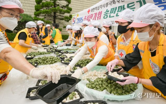 30일 오전 대한적십자사 경기도지사에서 열린 '2025 추석한가위 송편만들기' 봉사활동에 참여한 적십자사 봉사자들이 이웃에게 나눌 송편을 포장하고 있다. 이날 준비된 송편은 250여 관내 취약계층에게 전달될 예정이다. 윤원규기자