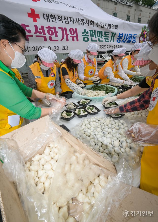 30일 오전 대한적십자사 경기도지사에서 열린 '2025 추석한가위 송편만들기' 봉사활동에 참여한 적십자사 봉사자들이 이웃에게 나눌 송편을 포장하고 있다. 이날 준비된 송편은 250여 관내 취약계층에게 전달될 예정이다. 윤원규기자