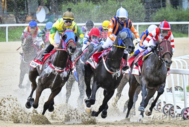 한국마사회, 2025 OBS 코리아컵과 코리아스프린트 대회 개최 [포토뉴스]