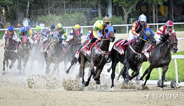 한국마사회, 2025 OBS 코리아컵과 코리아스프린트 대회 개최 [포토뉴스]