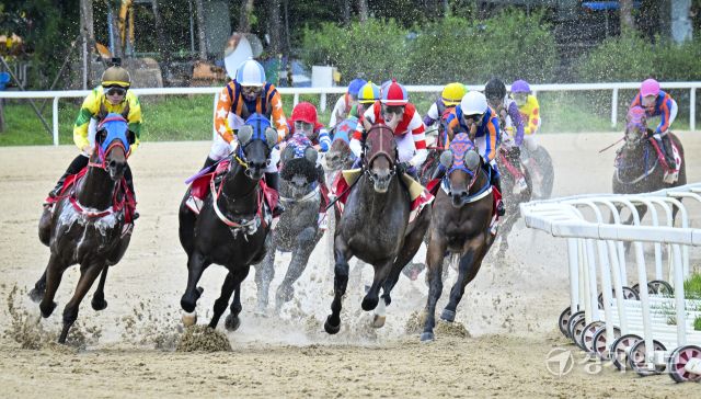 한국마사회, 2025 OBS 코리아컵과 코리아스프린트 대회 개최 [포토뉴스]