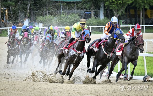 한국마사회, 2025 OBS 코리아컵과 코리아스프린트 대회 개최 [포토뉴스]