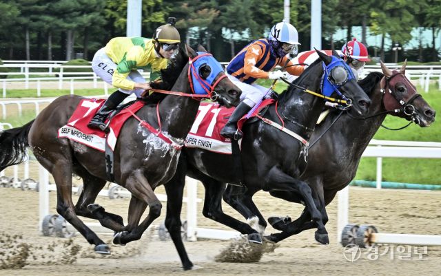 한국마사회, 2025 OBS 코리아컵과 코리아스프린트 대회 개최 [포토뉴스]