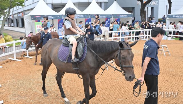 한국마사회, 2025 OBS 코리아컵과 코리아스프린트 대회 개최 [포토뉴스]