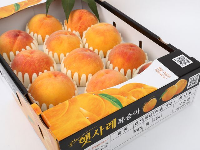 햇사레장호원복숭아. 이천시 제공