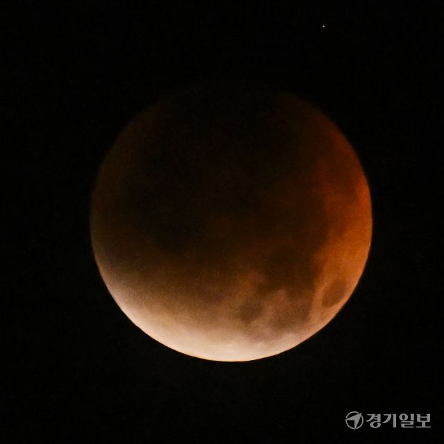붉은달을 볼 수 있엇던 개기월식 [포토뉴스]