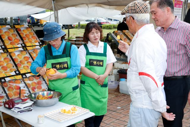 지난해 열린 햇사레장호원복숭아축제에서 해마다 열리는 복숭아가요제. 이천시 제공
