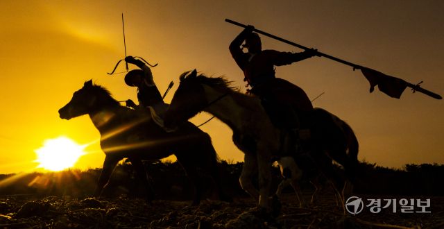 병오년 붉은 말의 해, 전국 곳곳 말들의 새해맞이 [포토뉴스]