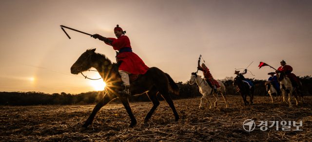병오년 붉은 말의 해, 전국 곳곳 말들의 새해맞이 [포토뉴스]